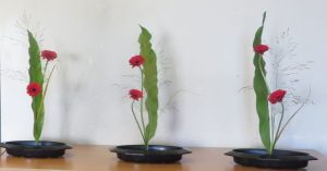 ikebana-3-coquelicots
